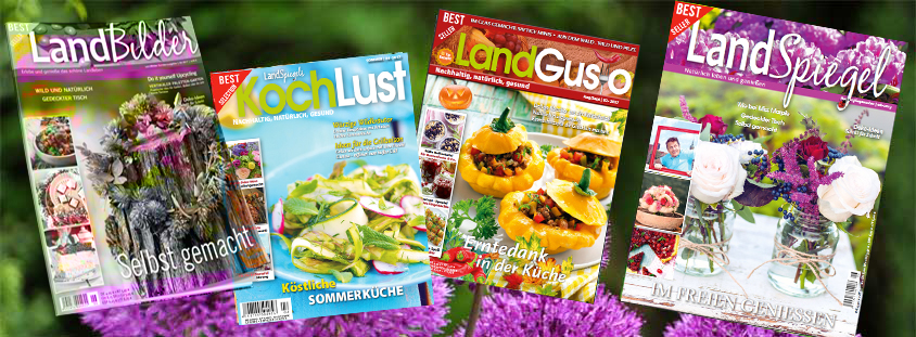landspiegel heade-08-2017r